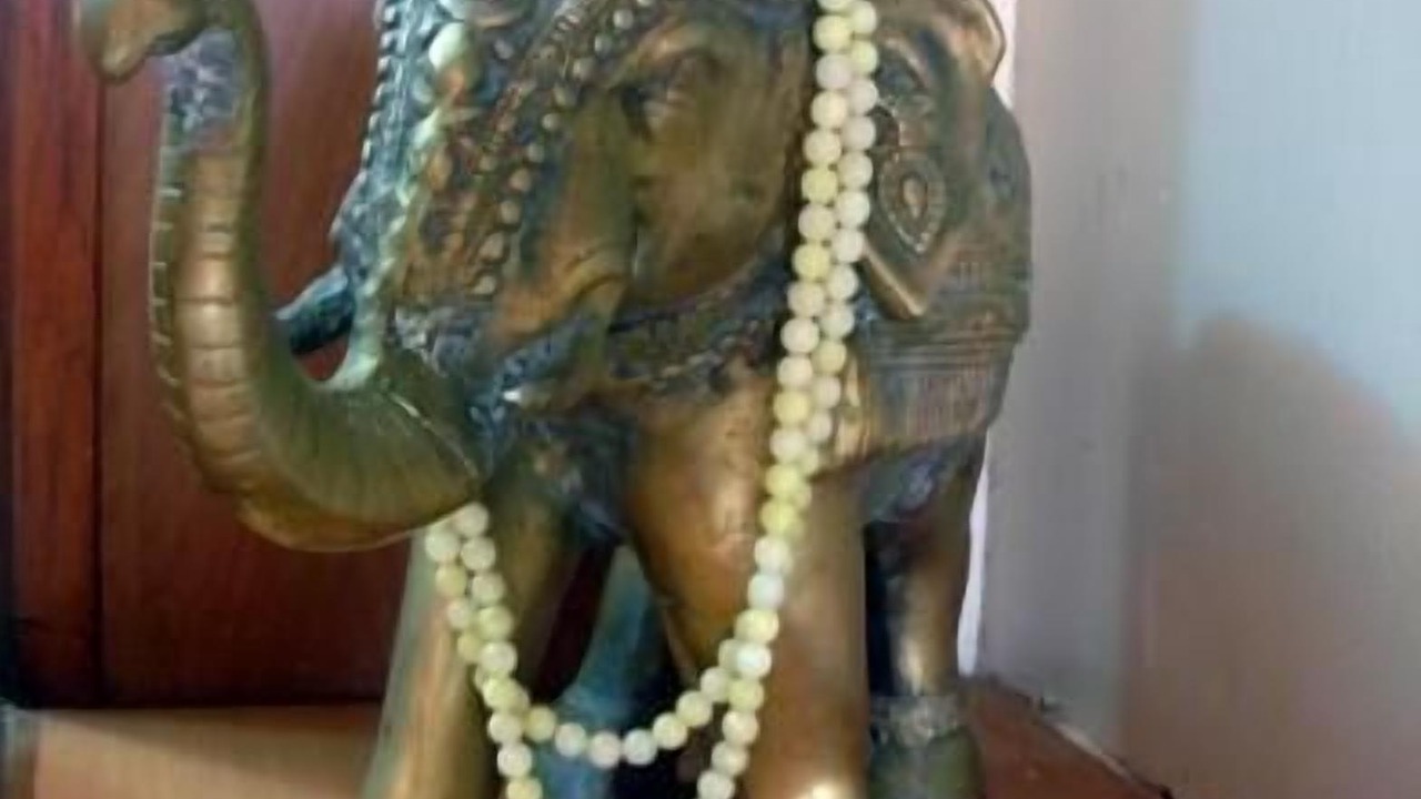 Photo of Others in Ganpatipule