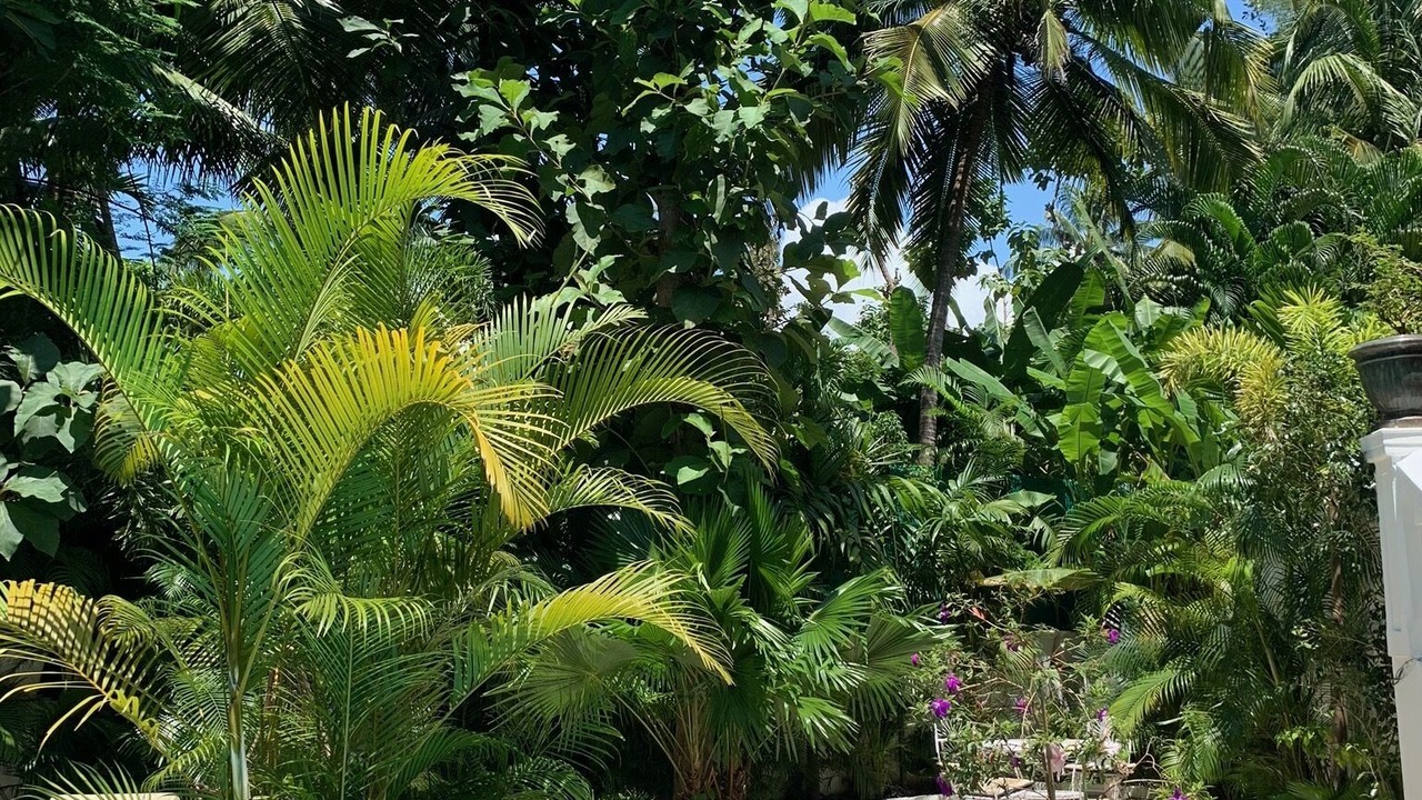 Photo of Outdoor in Patnem