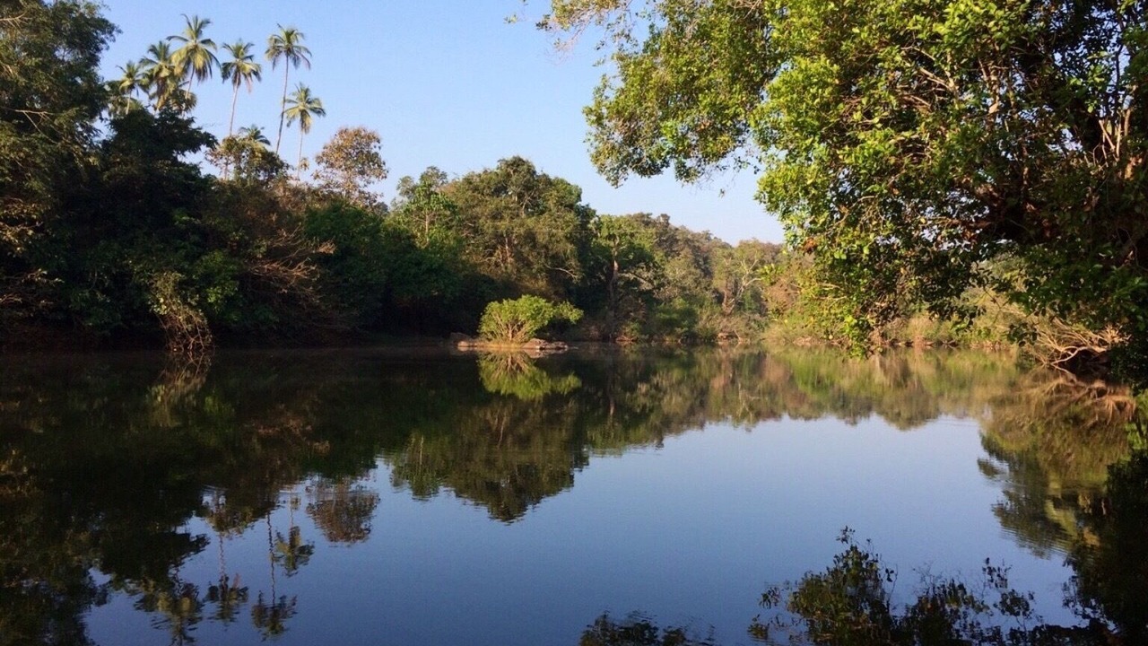Photo of Outdoor in Patnem