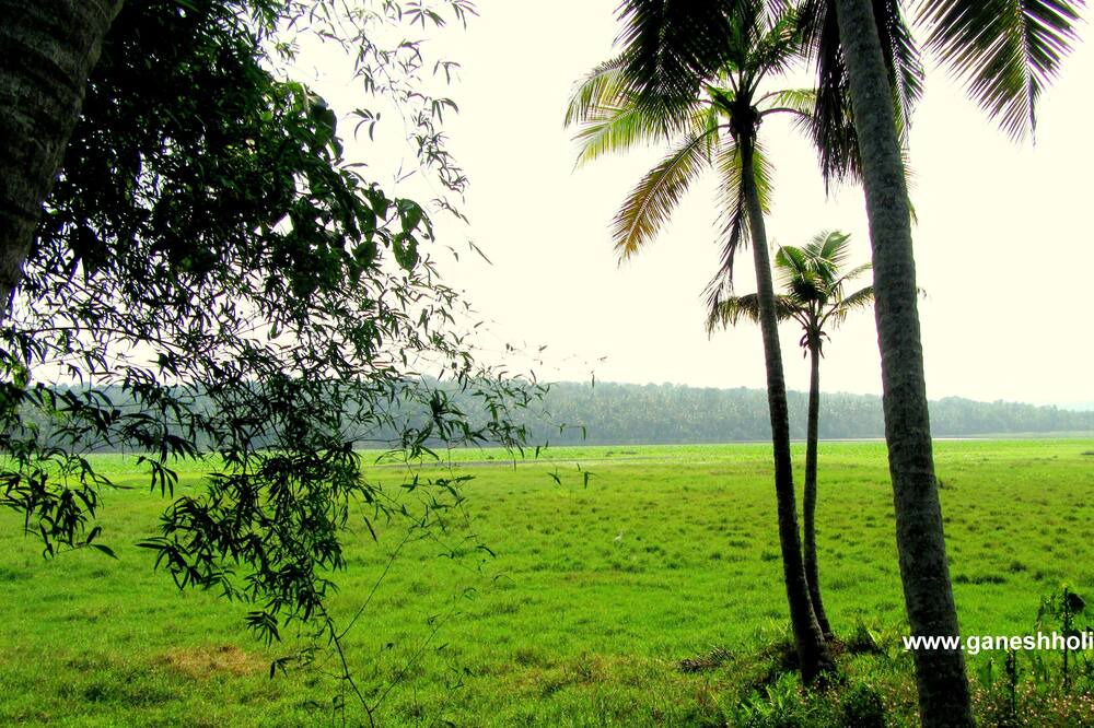 Photo of Others in Venganoor