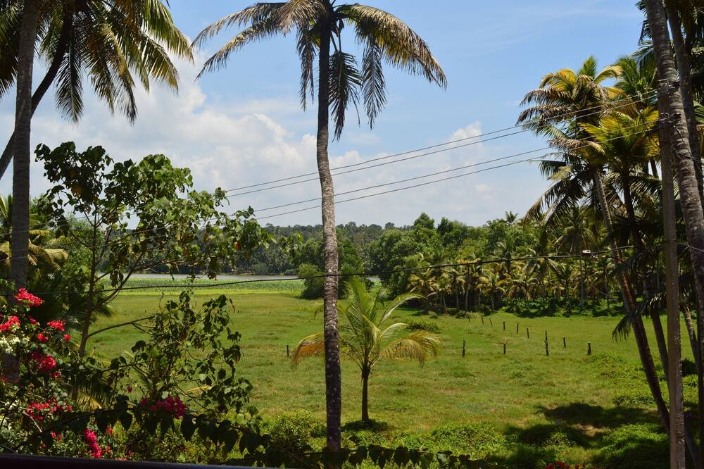 Photo of Outdoor in Venganoor