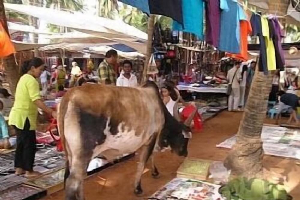Photo of Others in Fatrade