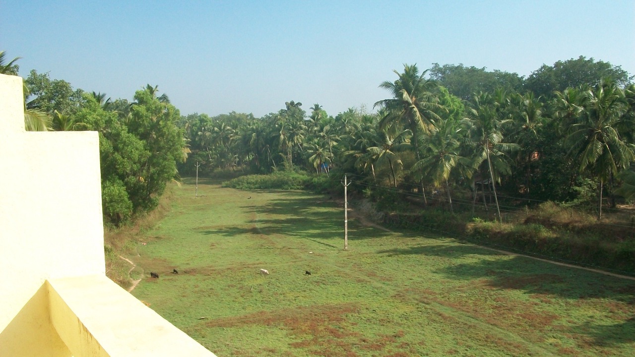 Photo of Outdoor in Benaulim