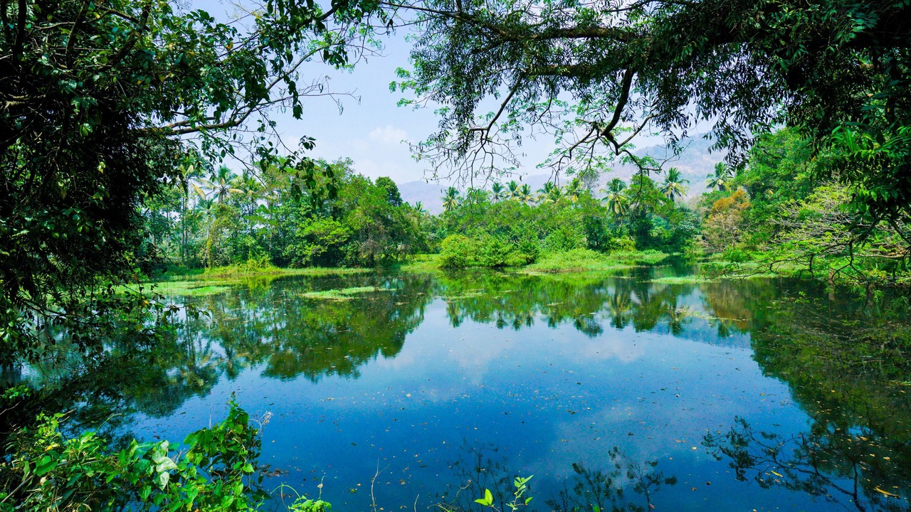 Photo of Outdoor in Devikolam