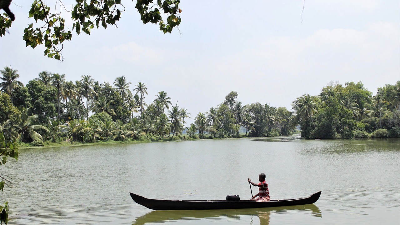 Photo of Others in Vaikam