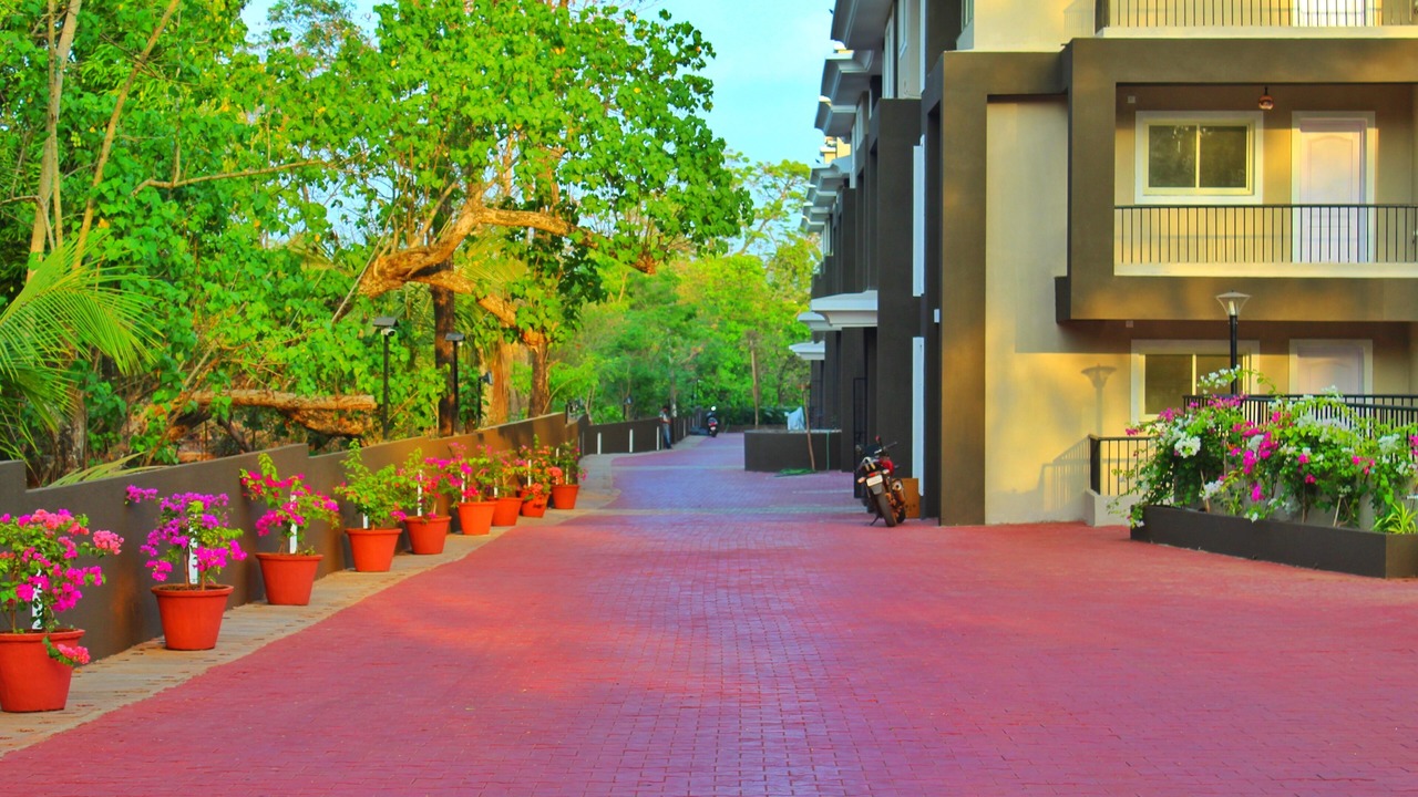 Photo of Outdoor in Vagator