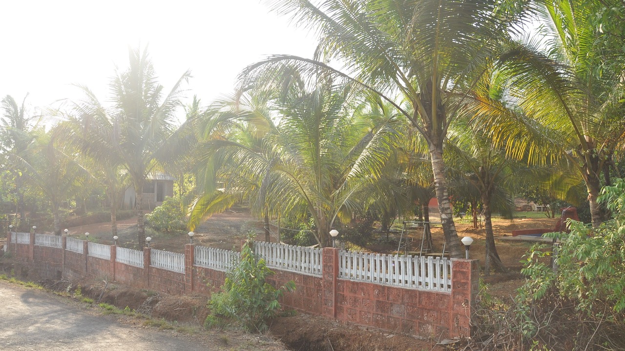 Photo of Outdoor in Malvan