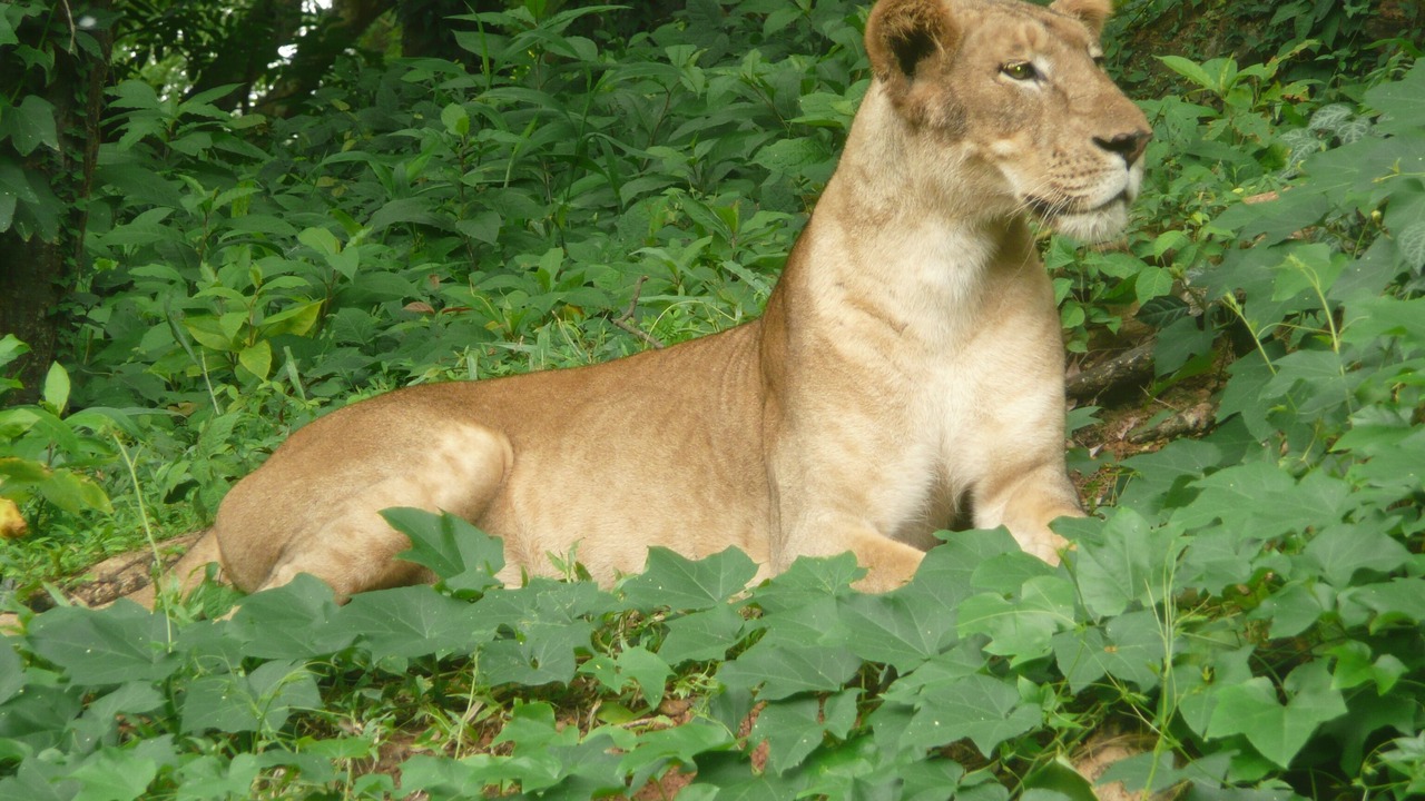 Photo of Outdoor in Thiruvananthapuram