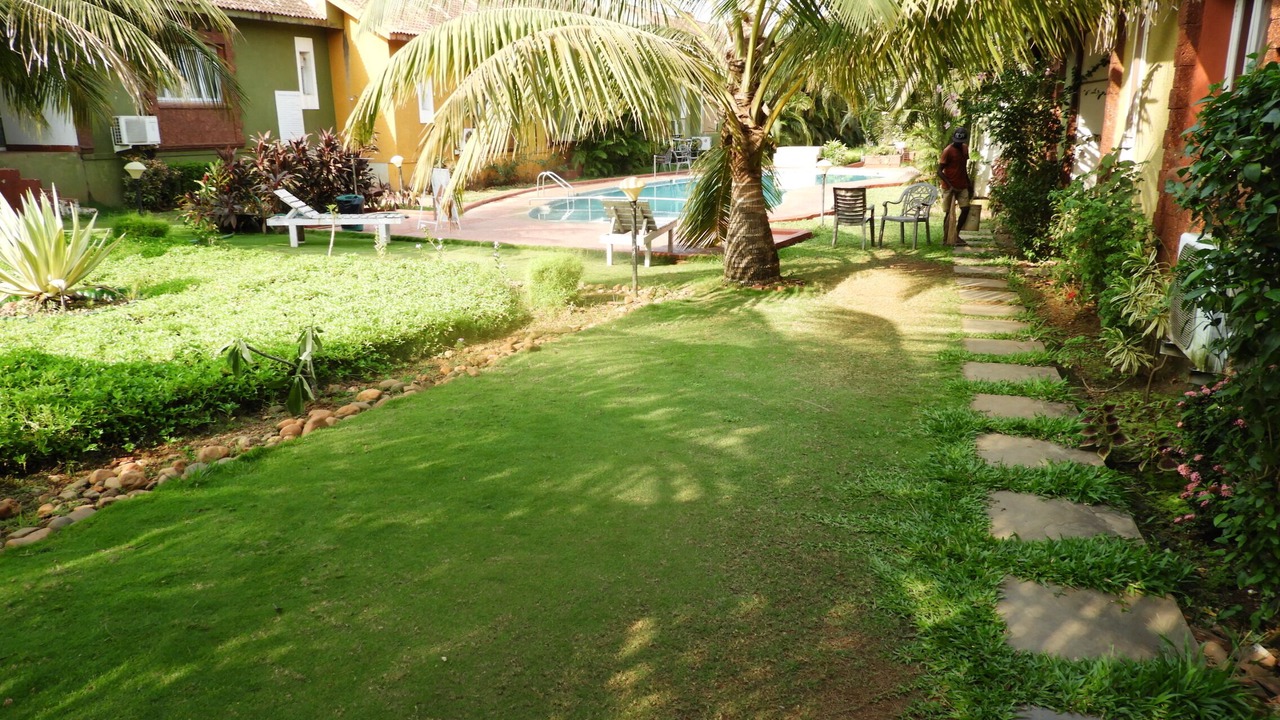 Photo of Outdoor in Vagator