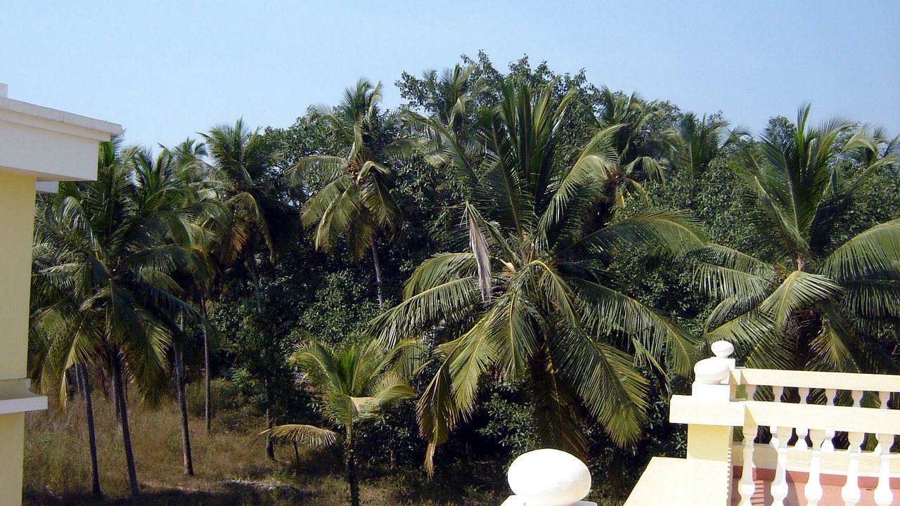 Photo of Outdoor in Benaulim