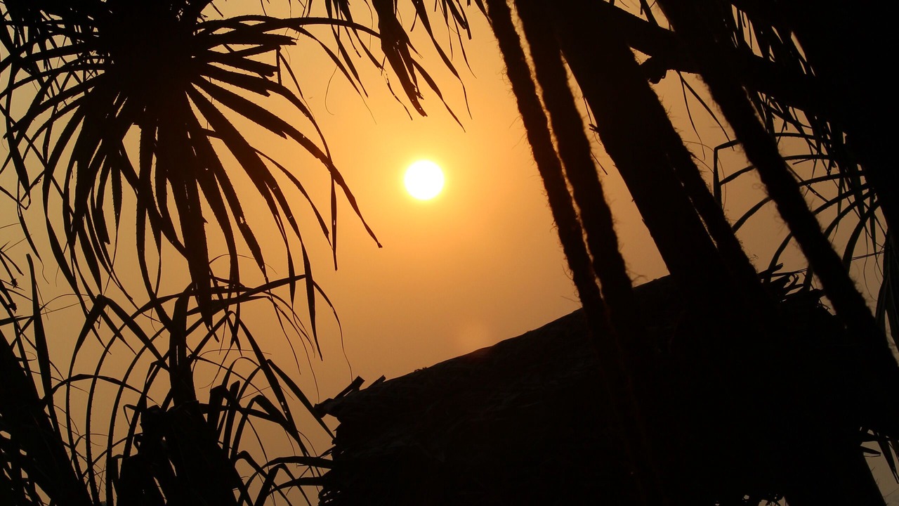 Photo of Outdoor in Palolem