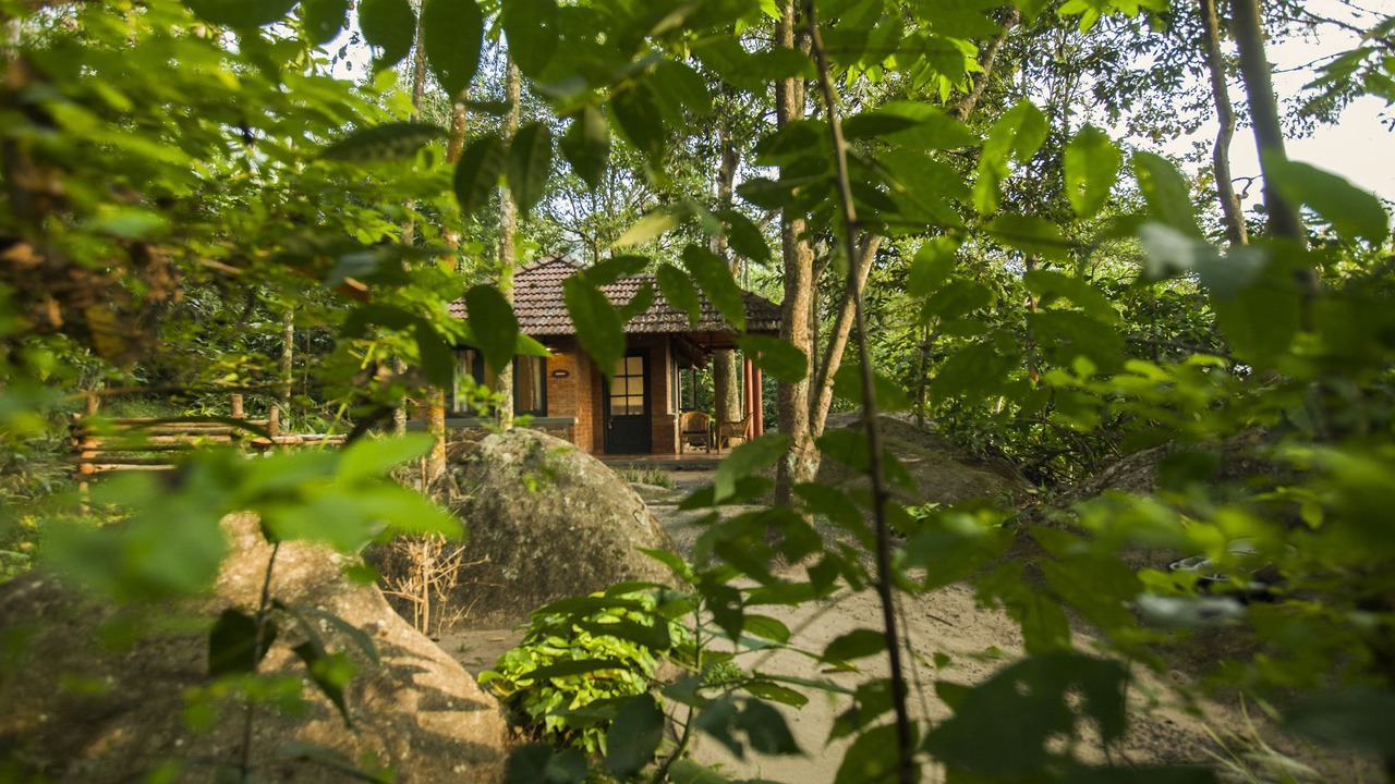 Photo of Outdoor in Amalavayal