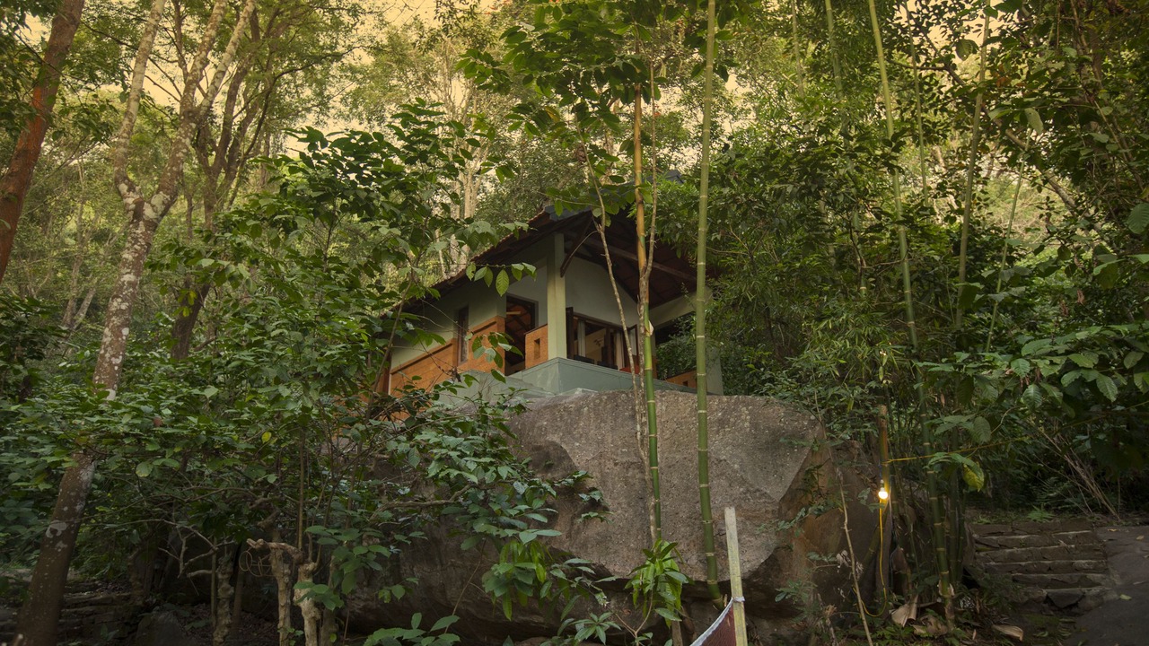 Photo of Outdoor in Amalavayal