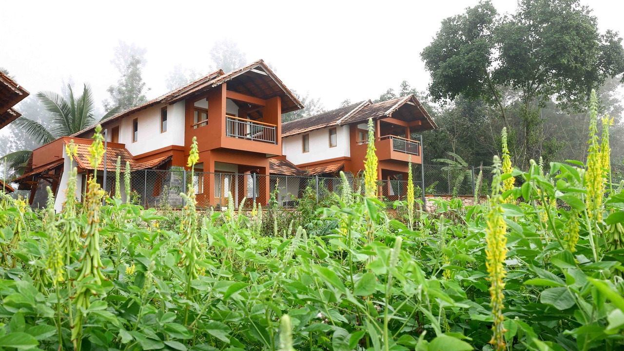 Photo of Outdoor in Sulthan Bathery