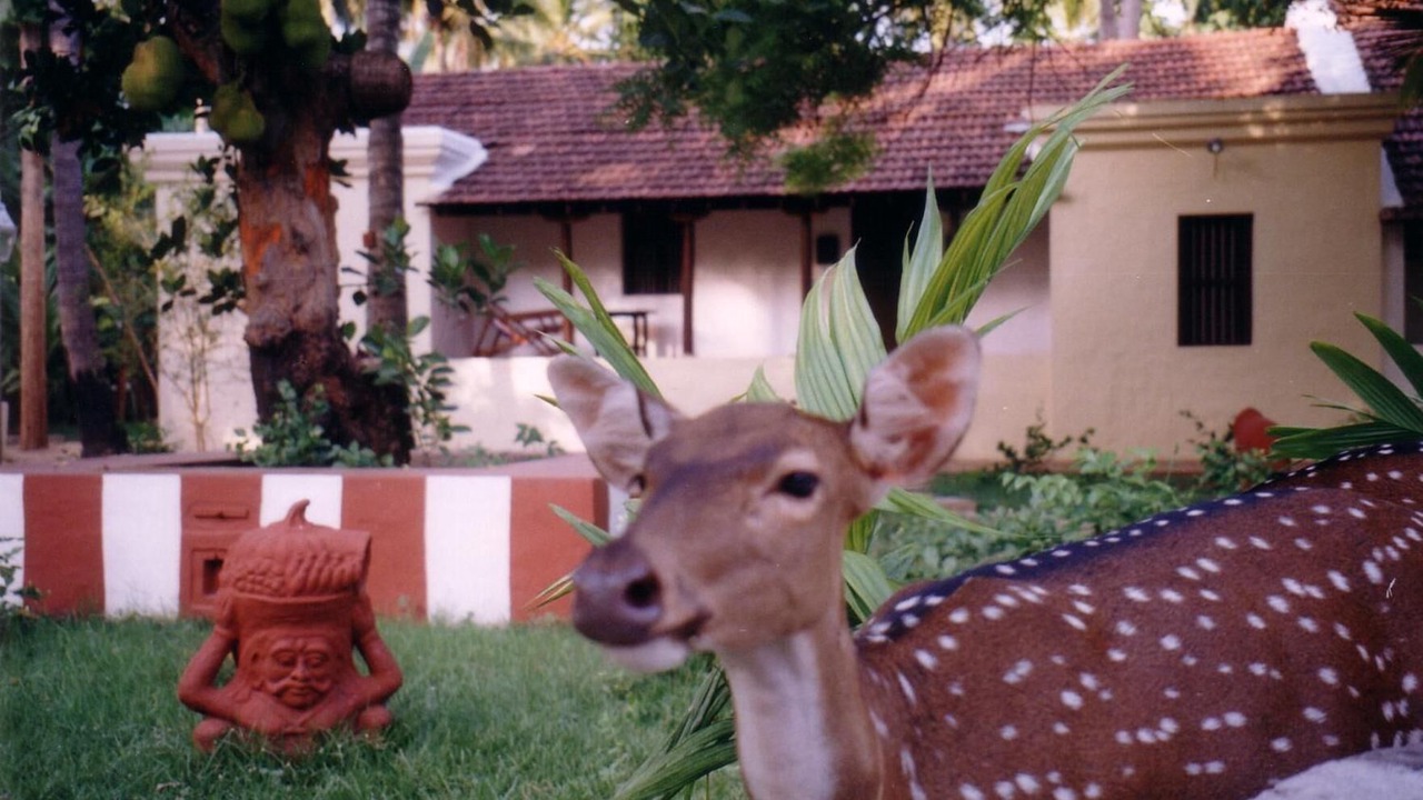 Photo of Outdoor in Kumbakonam