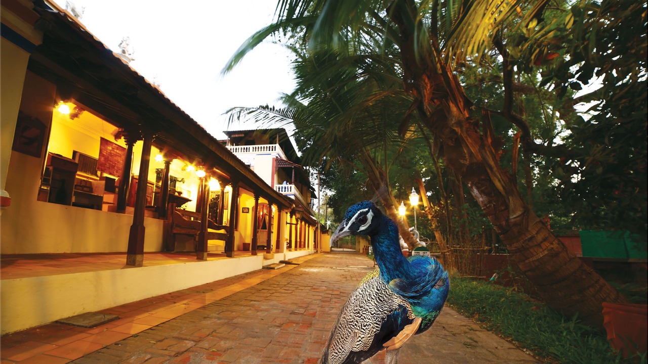 Photo of Outdoor in Kumbakonam
