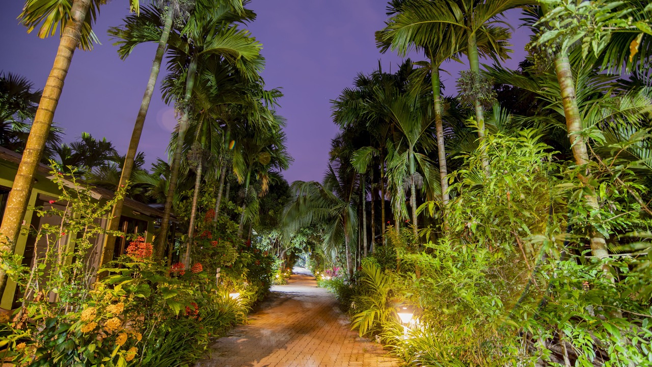 Photo of Outdoor in Chaul