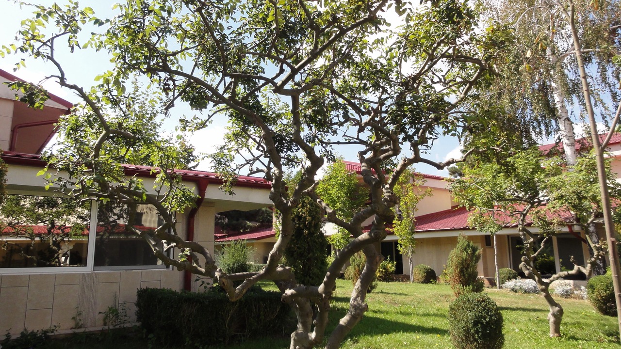 Photo of Outdoor in Costinesti