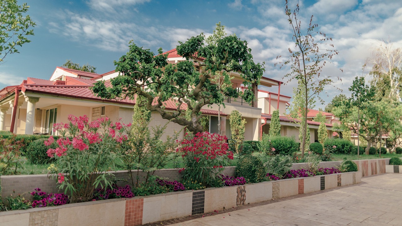 Photo of Outdoor in Costinesti