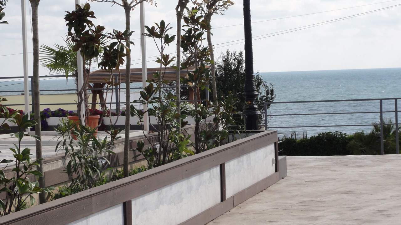 Photo of Outdoor in Costinesti