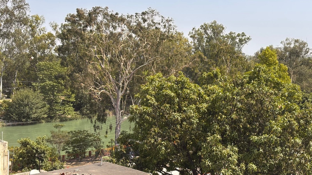 Photo of Outdoor in Roorkee