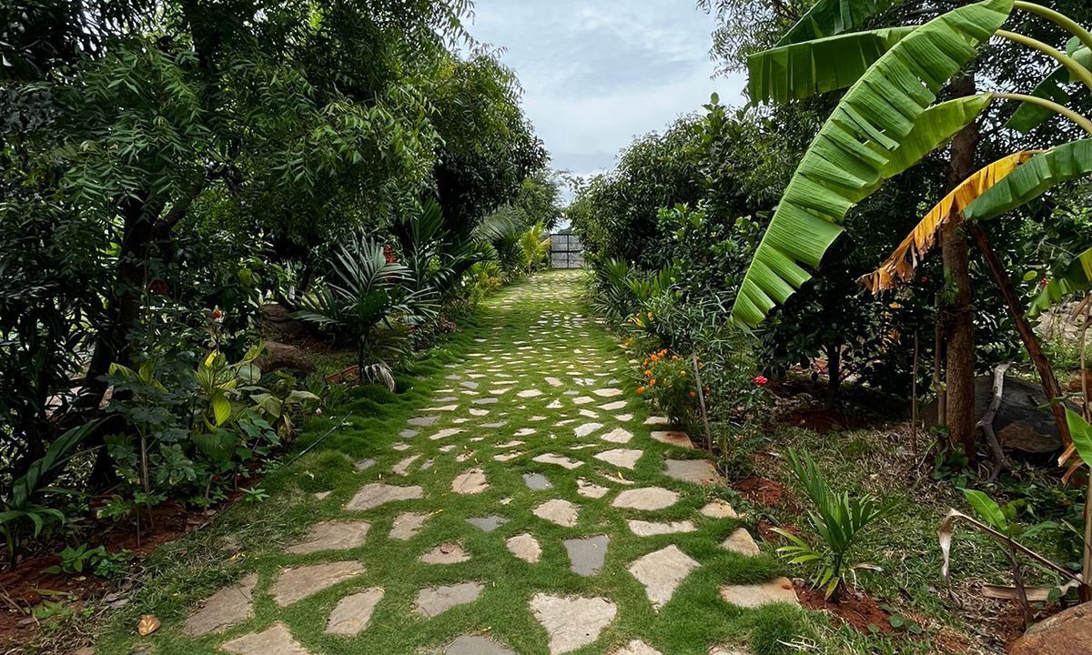 Photo of Outdoor in Hosur