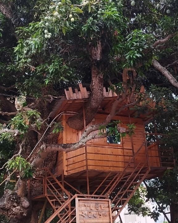 Photo of Outdoor in Shrirangapattana