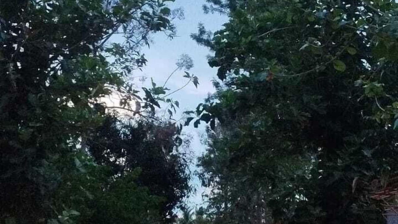 Photo of Outdoor in Shrirangapattana
