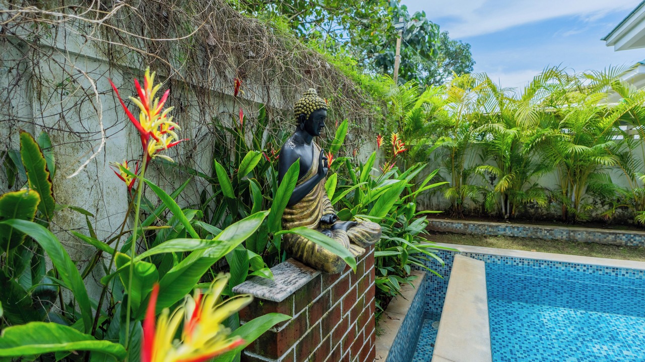 Photo of Outdoor in Siolim