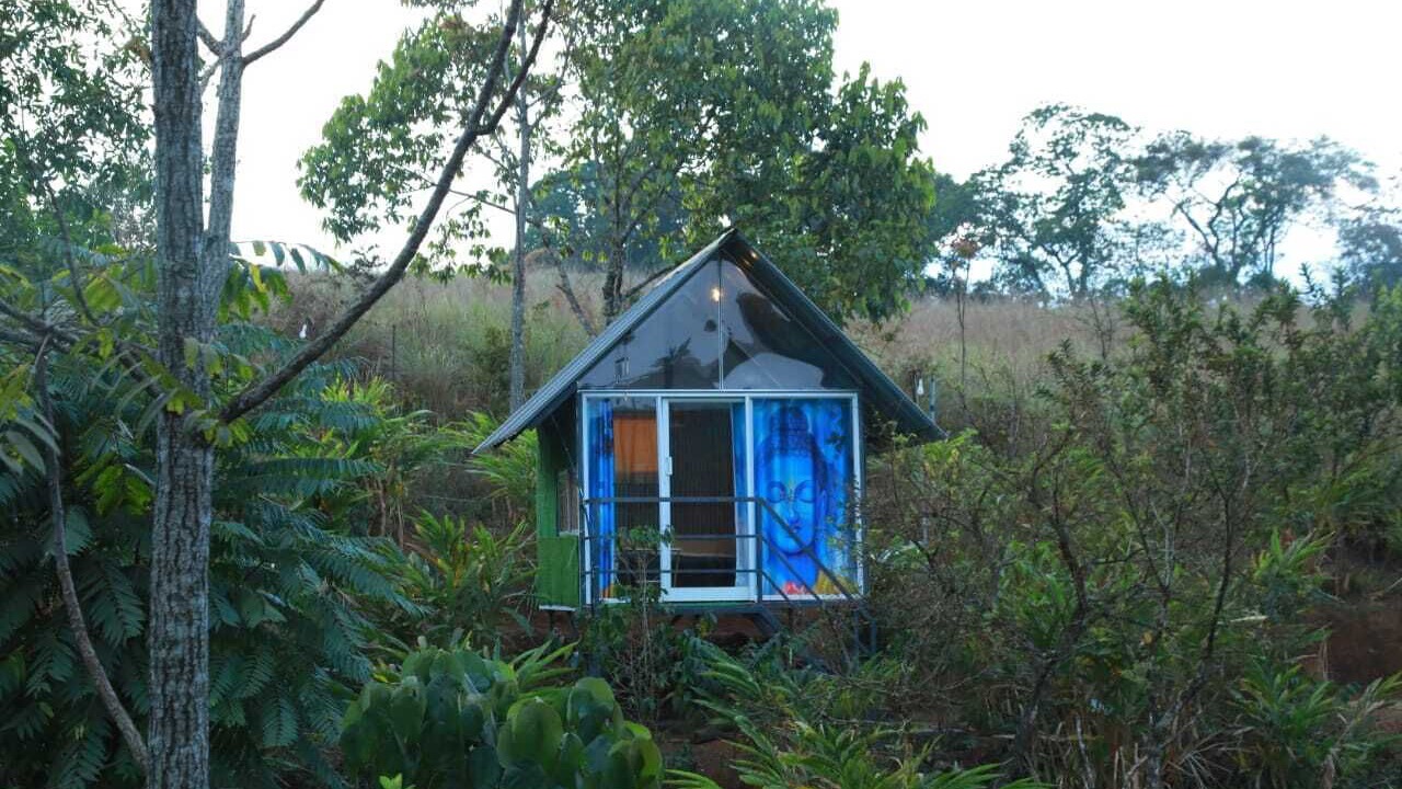Photo of Outdoor in Pirmed