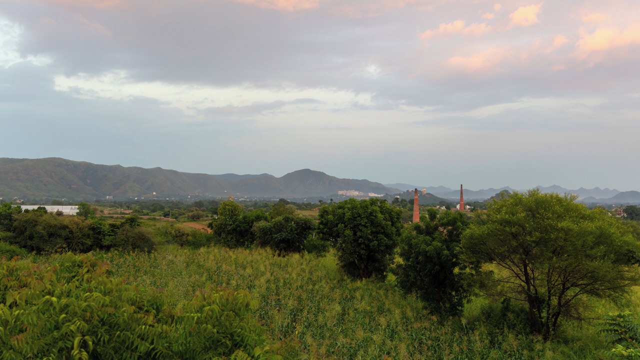 Photo of Others in Bedla