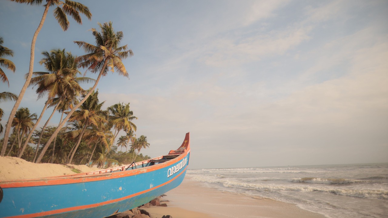 Photo of Others in Cherthala