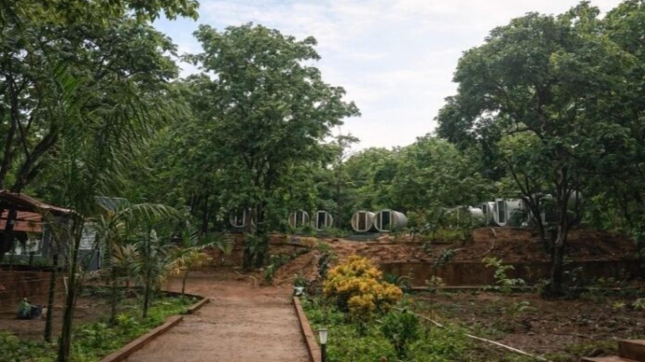 Photo of Outdoor in Timbholi
