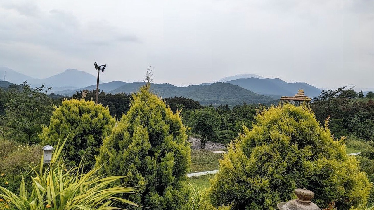 Photo of Outdoor in Mannarkkad