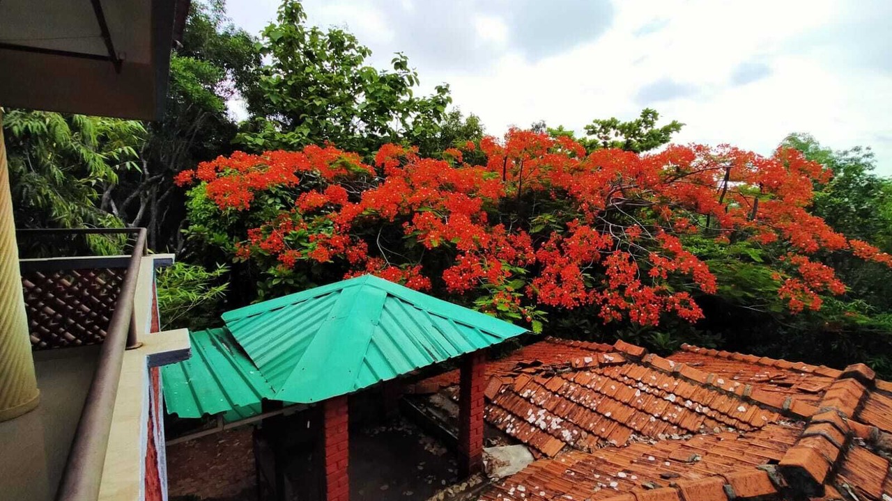 Photo of Bedroom in Gokarna