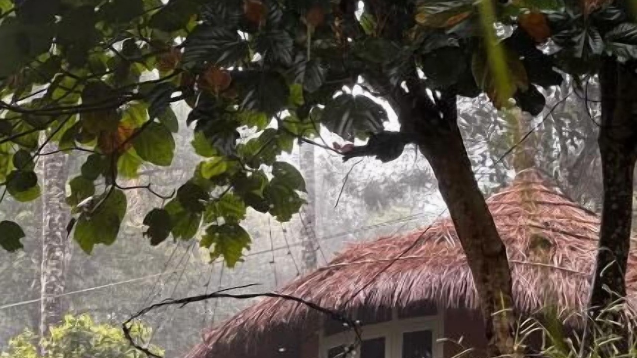 Photo of Outdoor in Ramakkalmedu