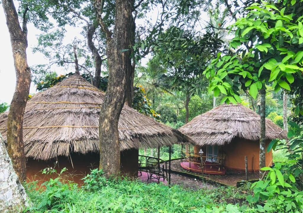 Photo of Outdoor in Ramakkalmedu
