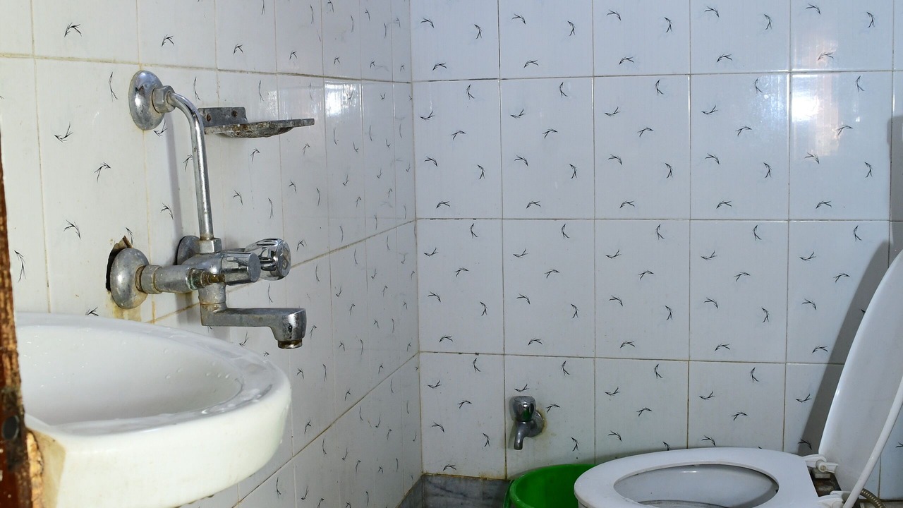Photo of Bathroom in Bhadrak