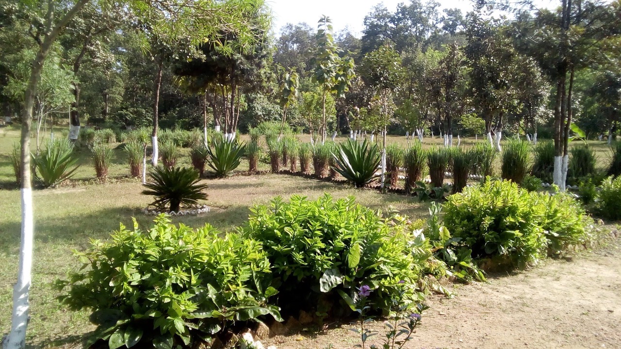Photo of Outdoor in Mukki