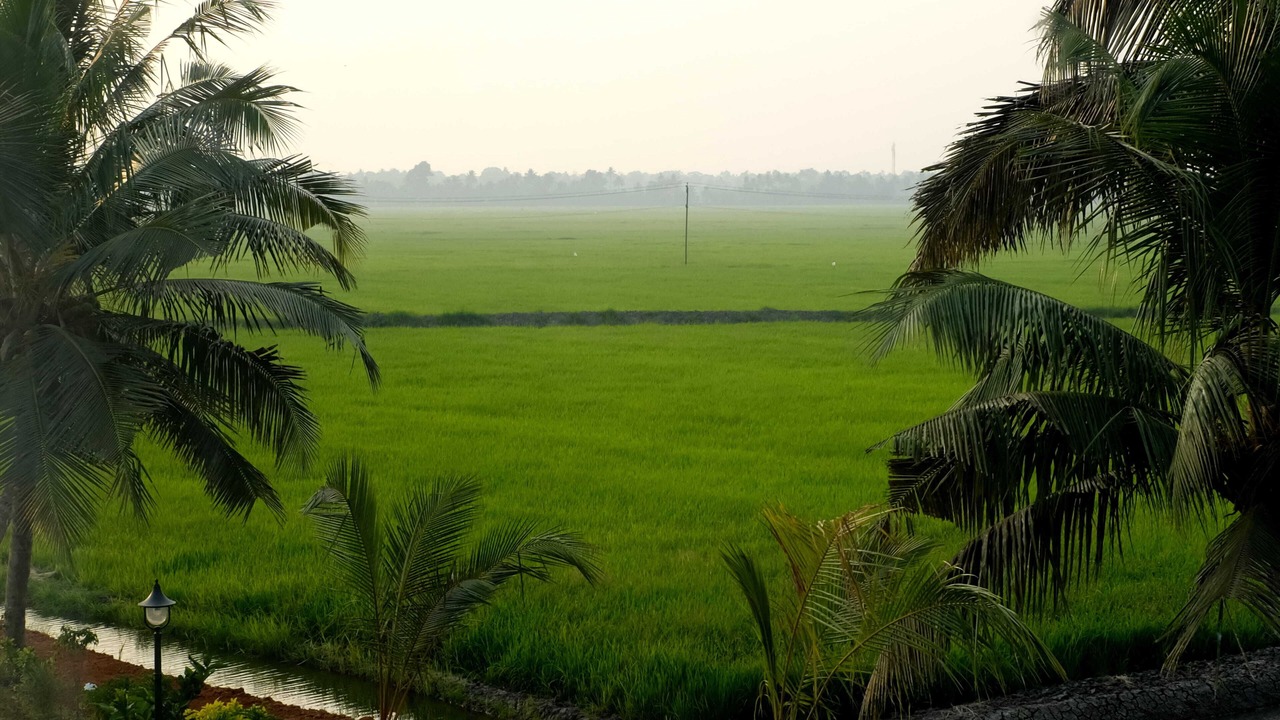 Photo of Others in Mankombu