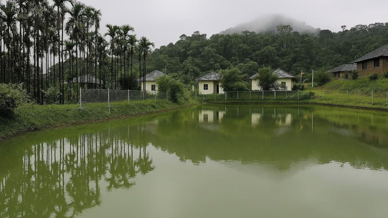Photo of Outdoor in Mudigere
