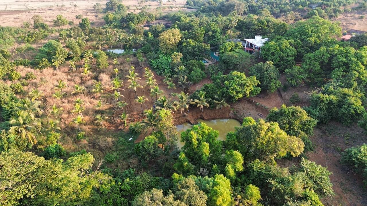 Photo of Outdoor in Mhsala