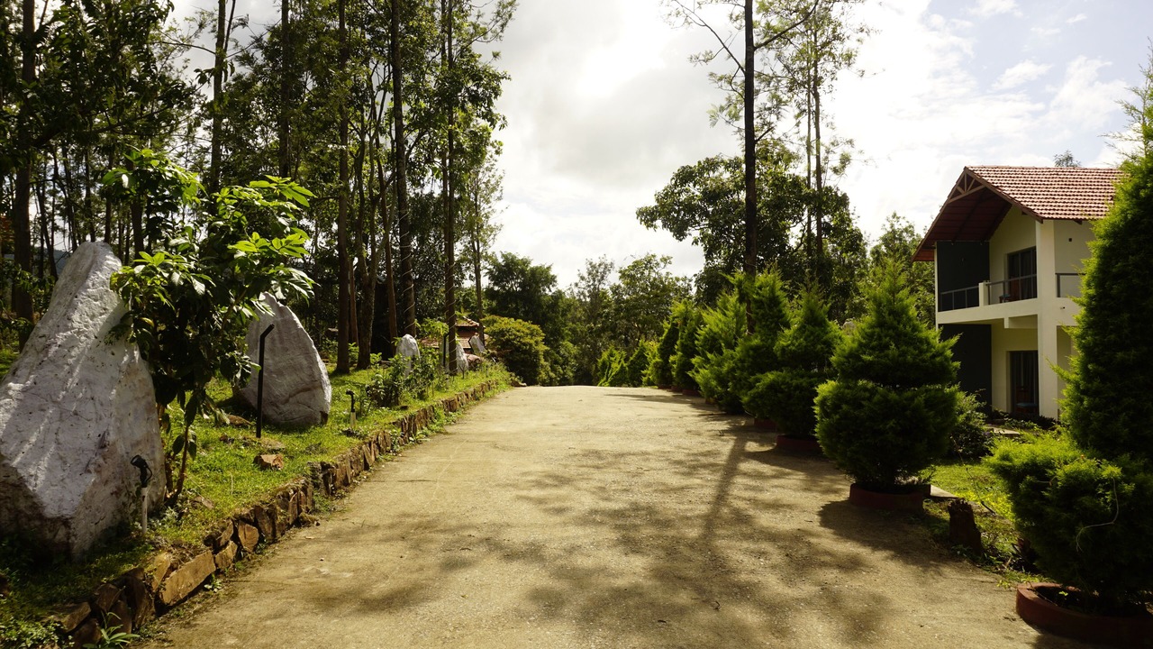 Photo of Outdoor in Chikkamagaluru