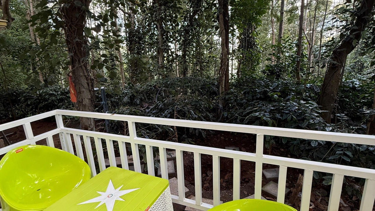 Photo of Outdoor in Salem