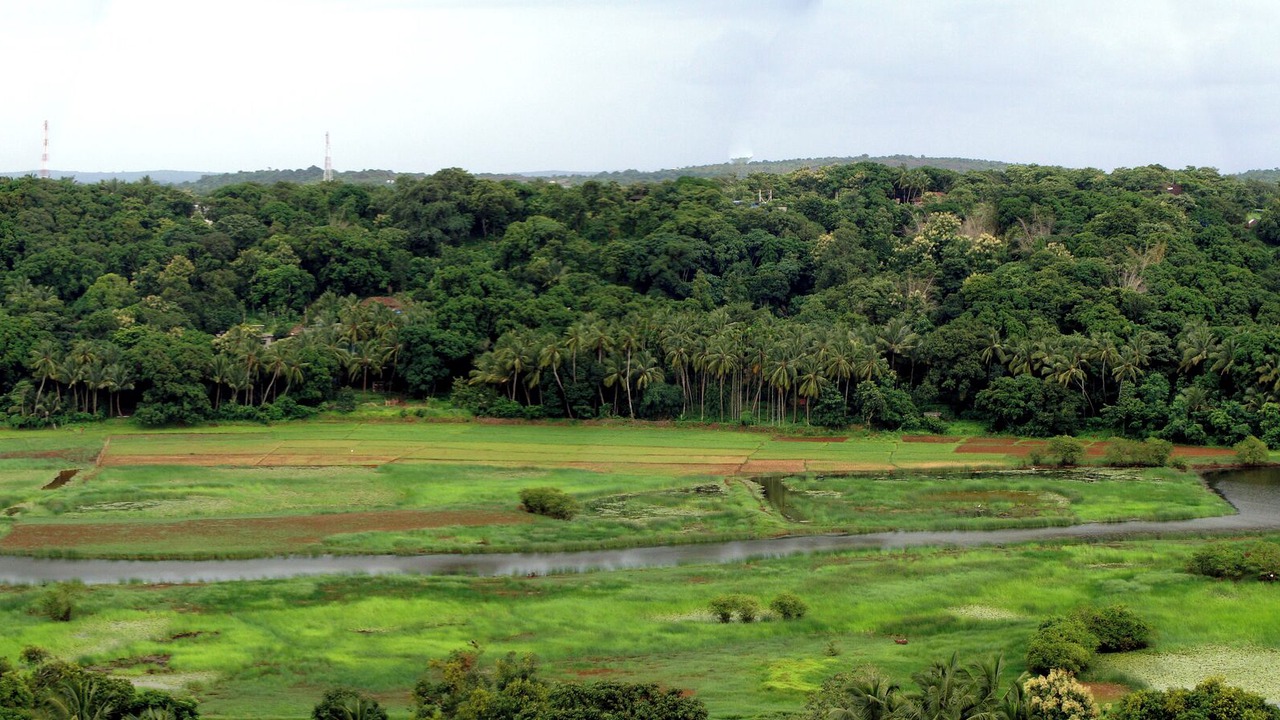 Photo of Outdoor in Rajapur