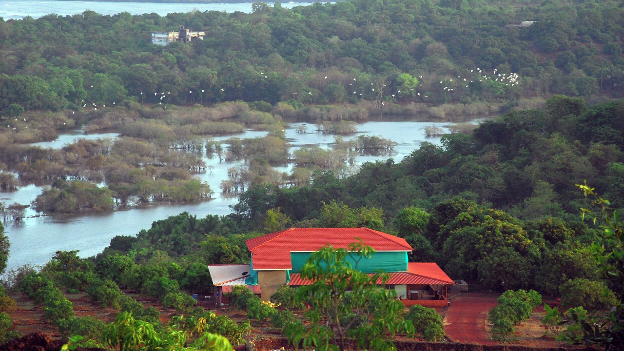 Photo of Others in Rajapur