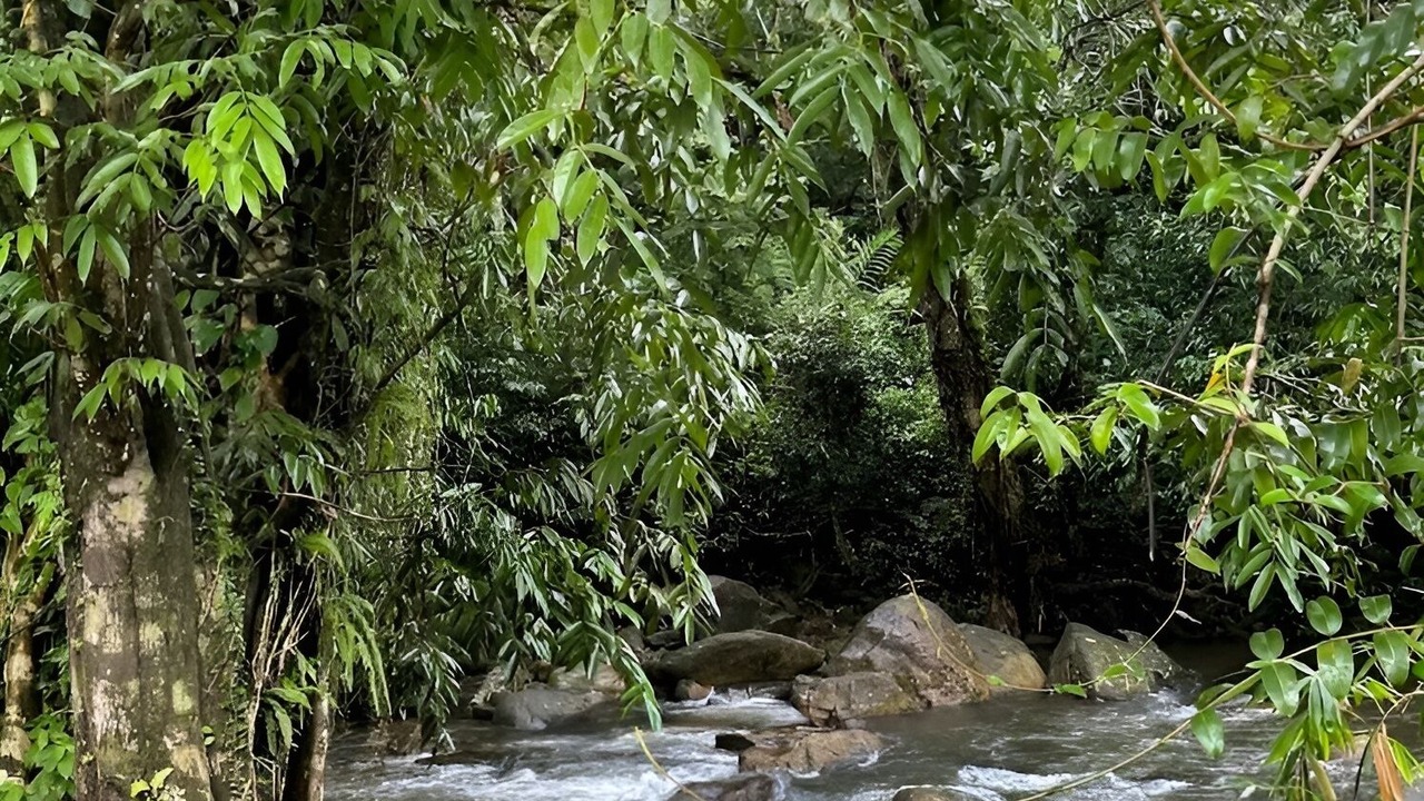 Photo of Outdoor in Devikolam