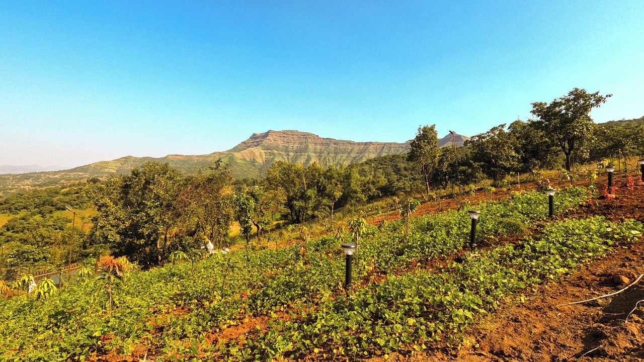 Photo of Outdoor in Ambavna