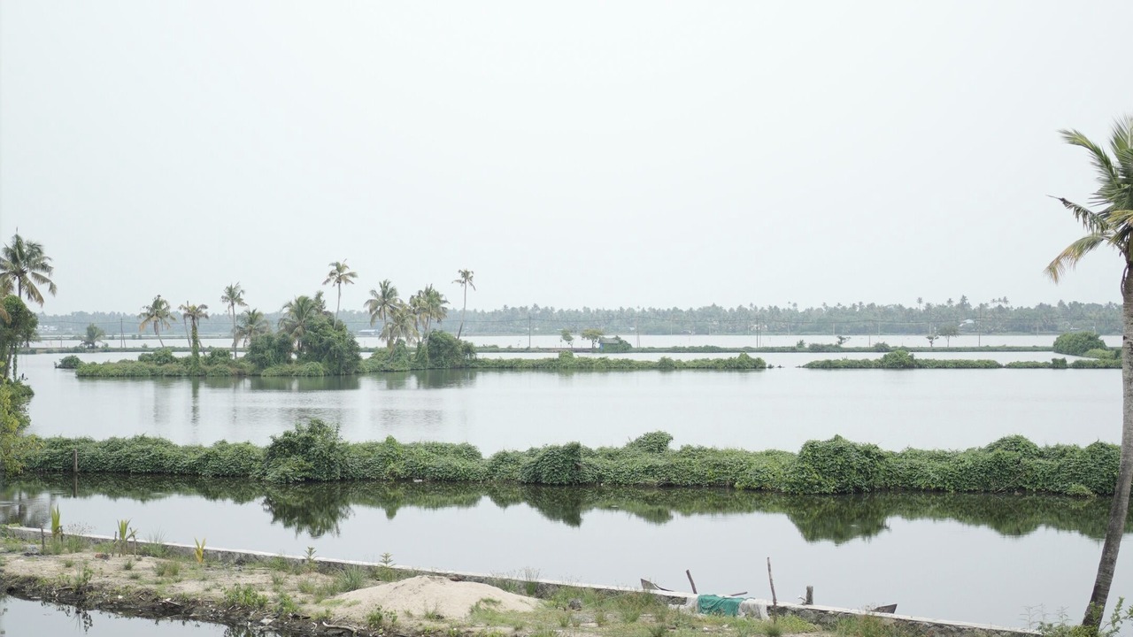 Photo of Others in Vypin