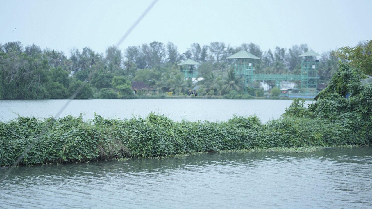 Photo of Others in Vypin